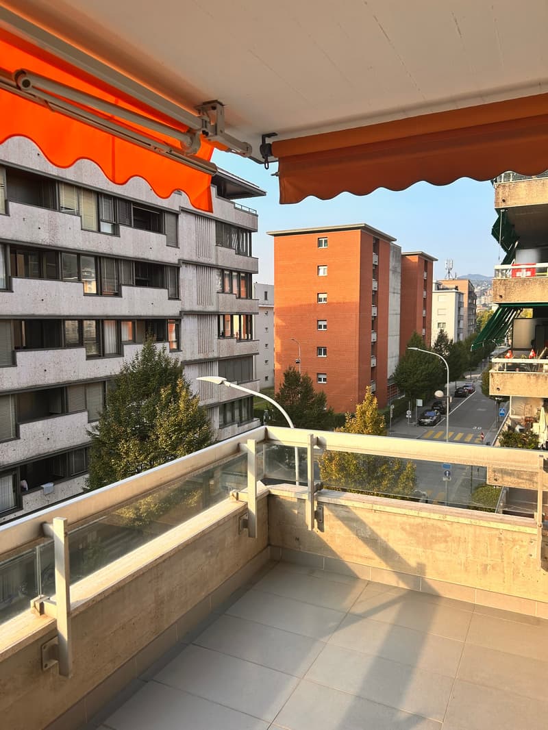 Luminoso appartamento di 1.5 locali con balcone a Viganello (2)
