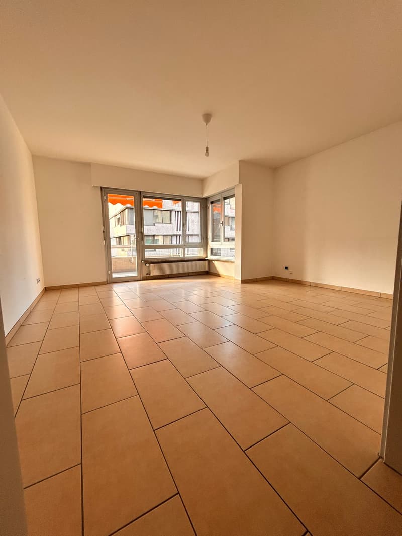 Luminoso appartamento di 1.5 locali con balcone a Viganello (3)