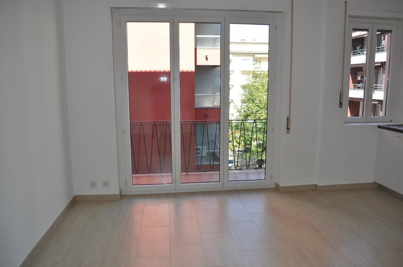 Monolocale parzialmente arredato a Lugano, disponibile subito (3)