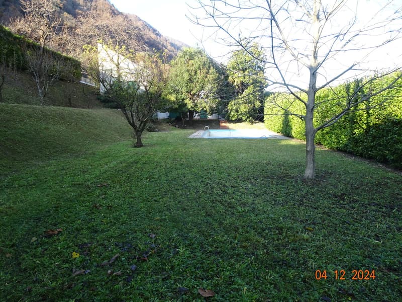 lawn, small swimming pool, trees, bushes, building at the top