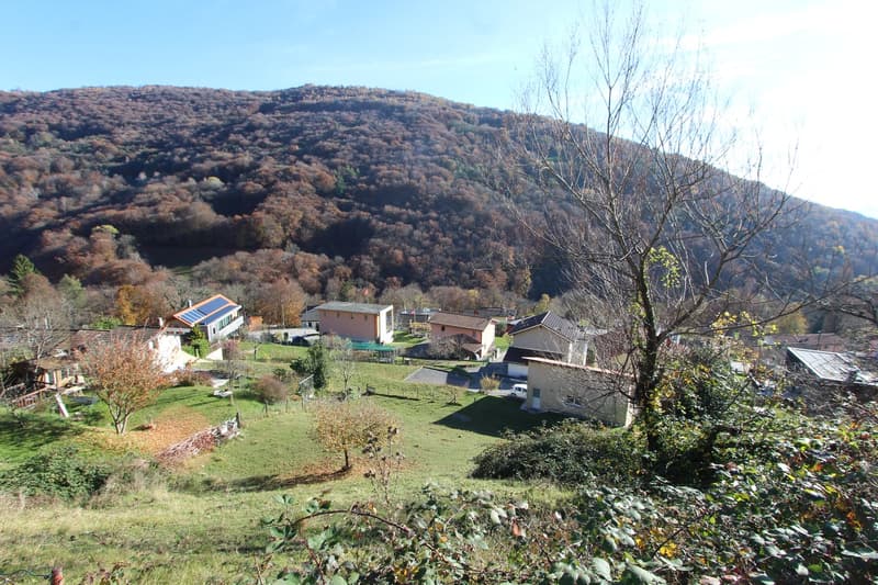 Multiple houses with some solar panels, surrounded by green fields, with a mountain in the background