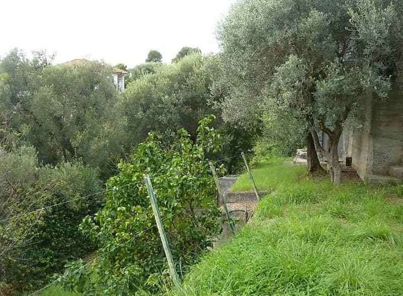ARENZANO LIGURIA (7)
