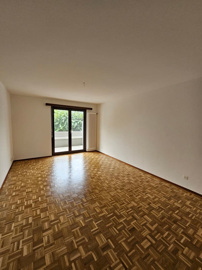 Luminoso appartamento di 3.5 locali a Cureglia (3)