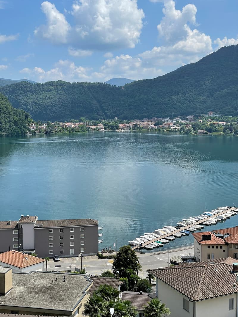 Aerial view of the lakefront with residential buildings and mountains in the background.