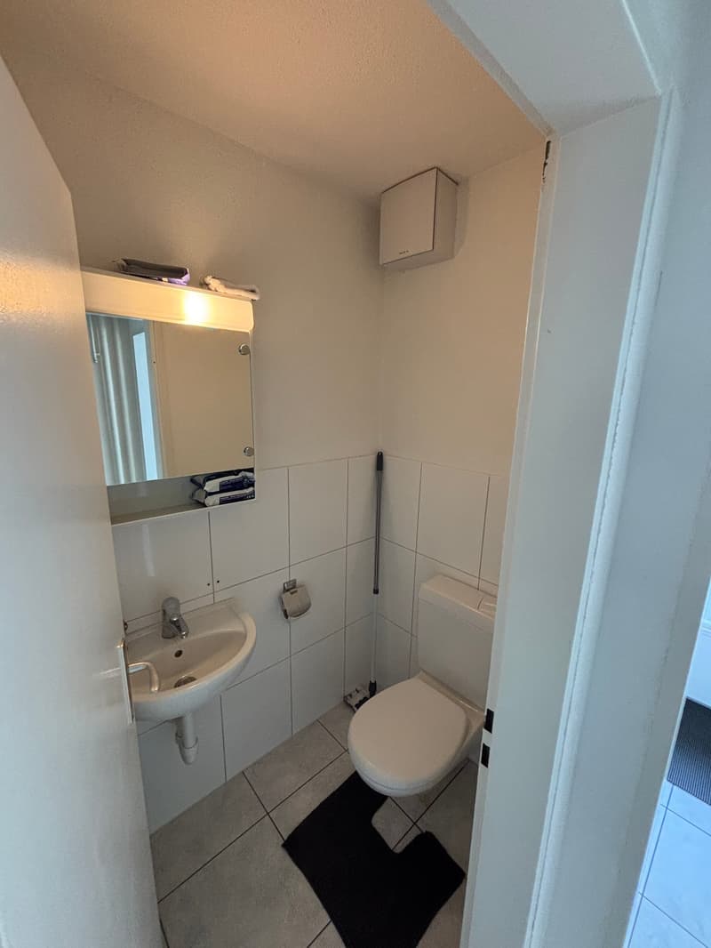 small bathroom with toilet, sink, mirror, and towel rack