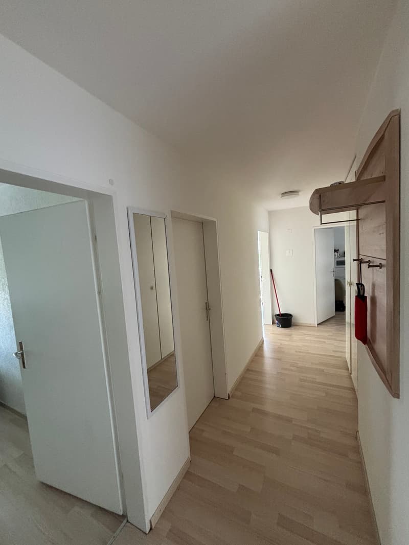 Empty hallway with white walls, wooden floor, mirror, and doors.