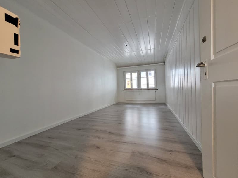 Erstvermietung - 4-Zimmer-Dachwohnung + Mansardenzimmer (12)