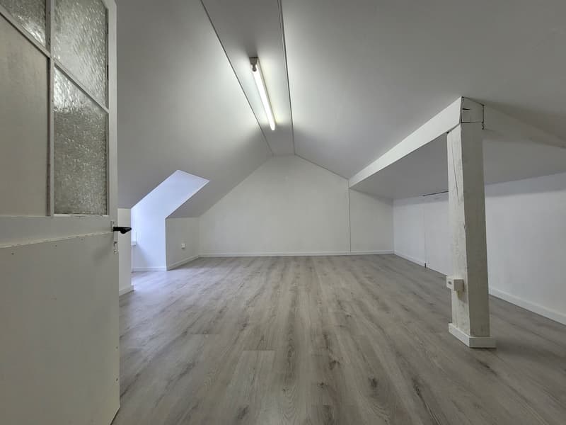 Erstvermietung - 4-Zimmer-Dachwohnung + Mansardenzimmer (15)