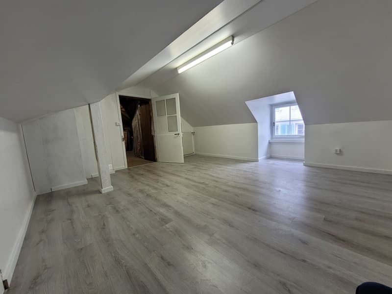 Erstvermietung - 4-Zimmer-Dachwohnung + Mansardenzimmer (16)