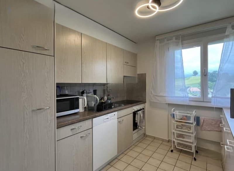 Helle 4.5-Zimmer-Wohnung mit Balkon und schöner Aussicht in Schmitten (3)