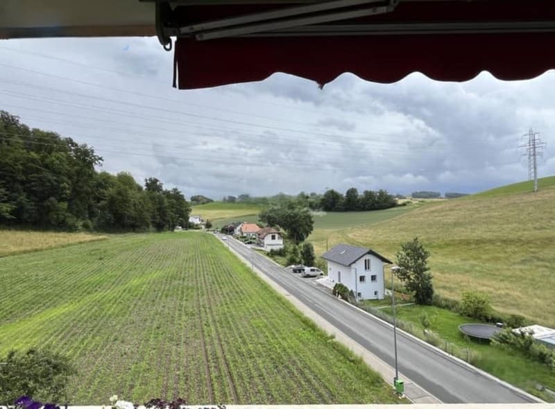 Helle 4.5-Zimmer-Wohnung mit Balkon und schöner Aussicht in Schmitten (7)