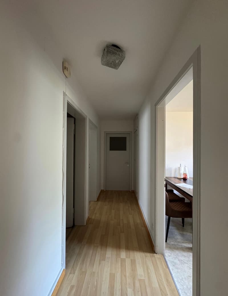 Helle 3-Zimmer-Wohnung mit Balkon in Buchs SG (4)