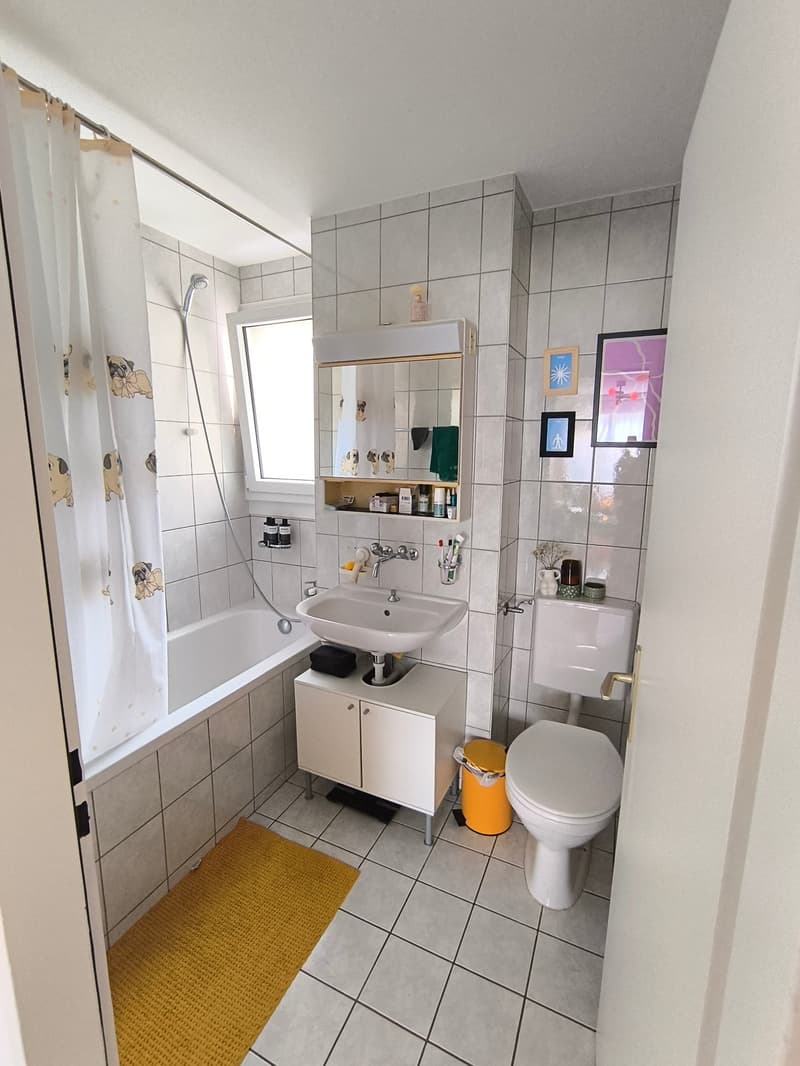 3.5-Zimmer-Wohnung mit Balkon in Schmitten (8)