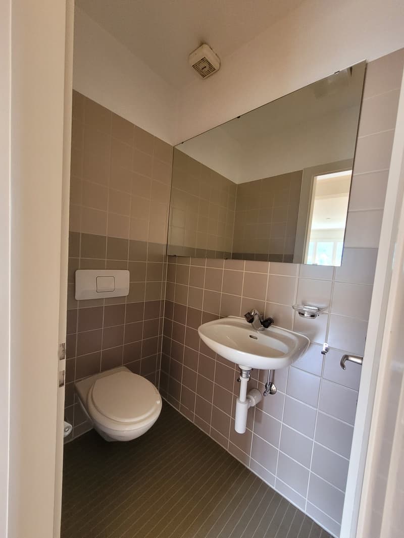 Grosszügige 5.5-Zimmer-Maisonette-Dachwohnung mit Terrasse, Balkon und viel Charme (6)