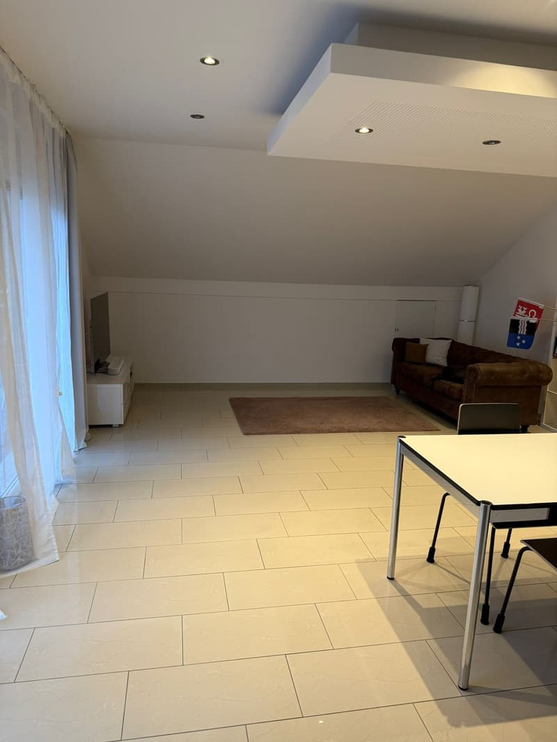 Helle 3.5-Zimmer-Wohnung mit Balkon in Reinach (3)