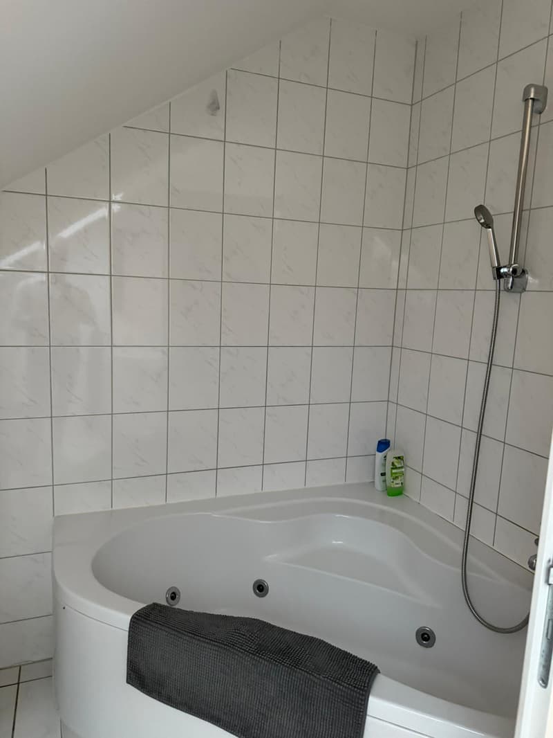 Helle 3.5-Zimmer-Wohnung mit Balkon in Reinach (10)