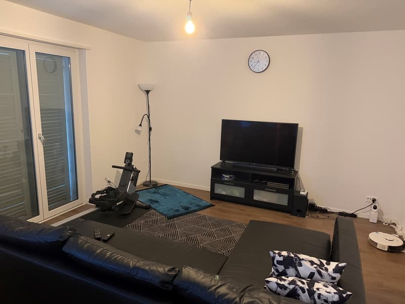 Gemütliche 2-Zimmer-Wohnung im Erdgeschoss in Glattbrugg (4)