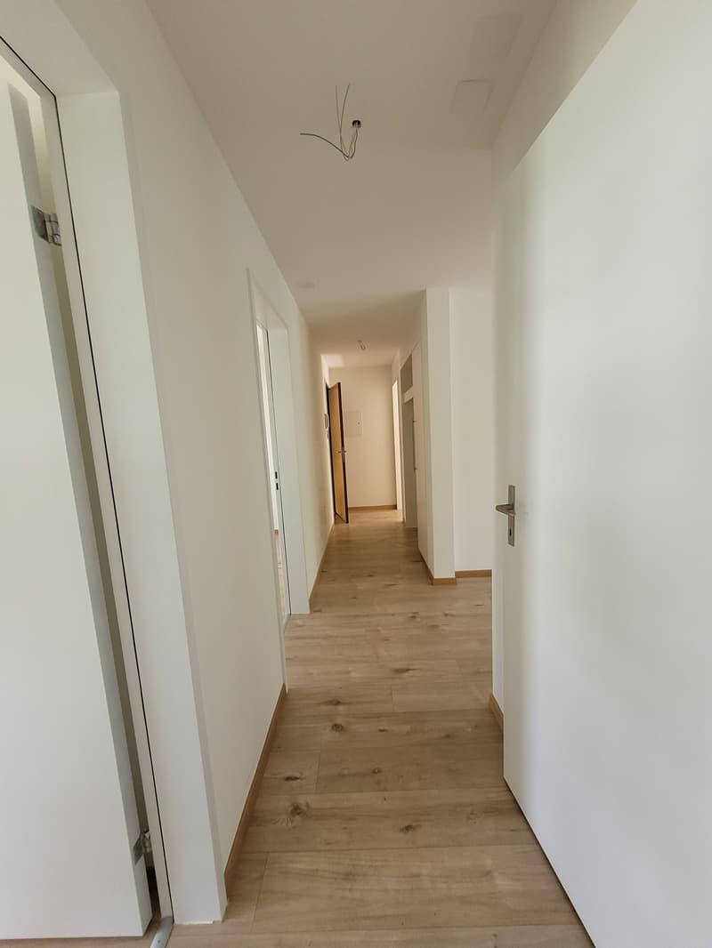 Erstvermietung nach Totalsanierung ruhige Lage (11)