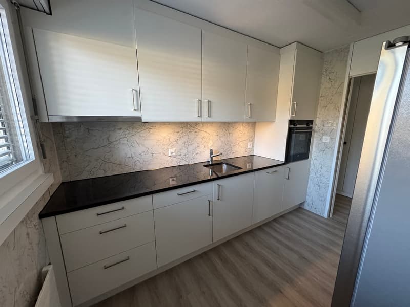 neu renovierte Wohnung, privater Waschturm (4)