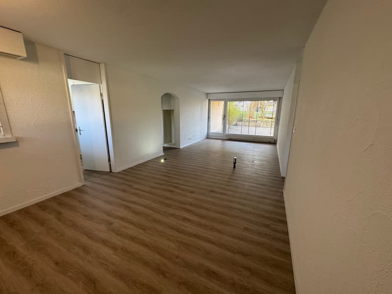 neu renovierte Wohnung, privater Waschturm (7)