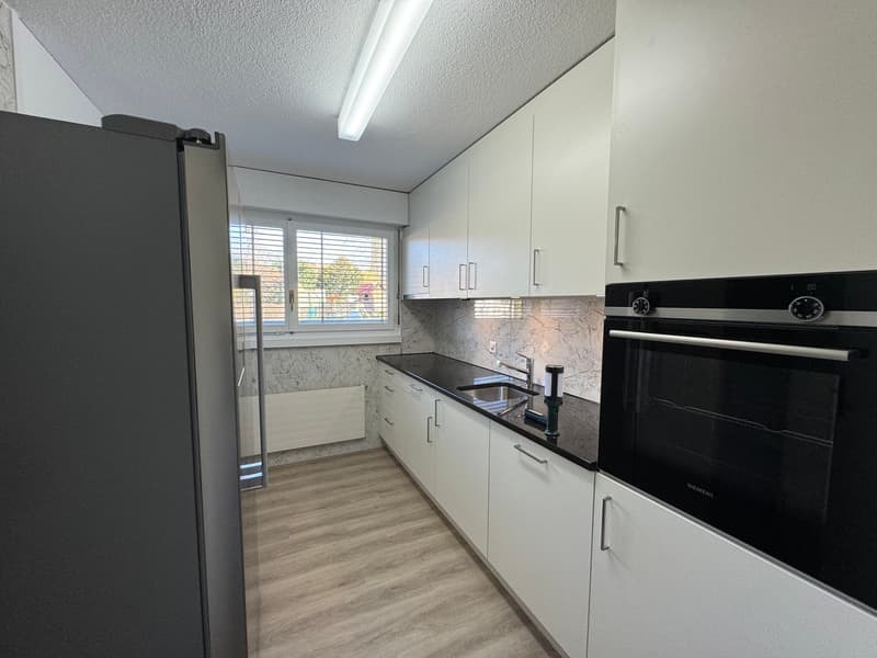 neu renovierte Wohnung, privater Waschturm (3)