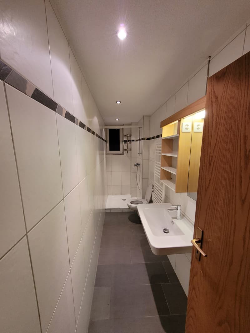 Mehrfamilienhaus 9 Objekten, sofort verfügbar (5)