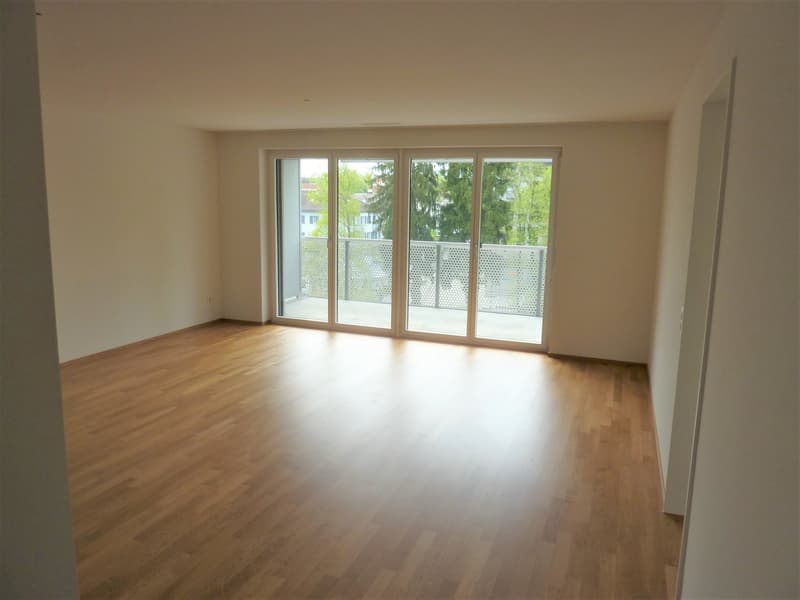 Helle 4.5-Zimmer-Dachwohnung mit Balkon und Aussicht in Wetzikon (5)