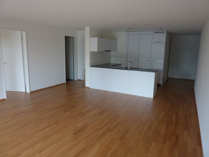Helle 4.5-Zimmer-Dachwohnung mit Balkon und Aussicht in Wetzikon (2)