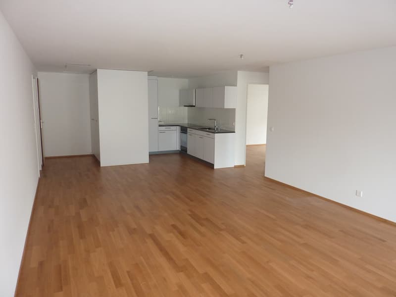 Helle 4.5-Zimmer-Dachwohnung mit Balkon und Aussicht in Wetzikon (4)