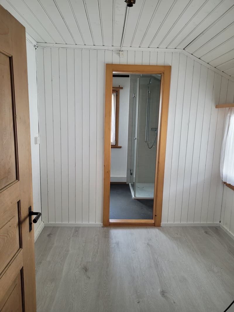 3.5-Zi-Dachwohnung - Estrich gehört dazu (7)