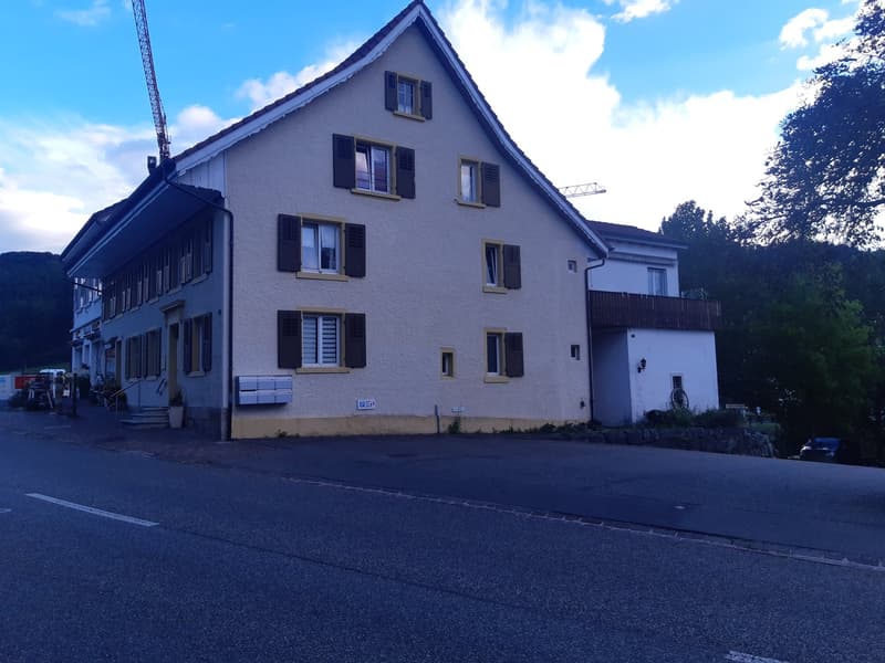 Grosse 4.5-Zimmer-Wohnung in Läufelfingen – ruhige Lage mit Balkon und Aussicht ins Grüne (1)