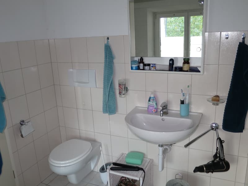 Grosse 4.5-Zimmer-Wohnung in Läufelfingen – ruhige Lage mit Balkon und Aussicht ins Grüne (10)