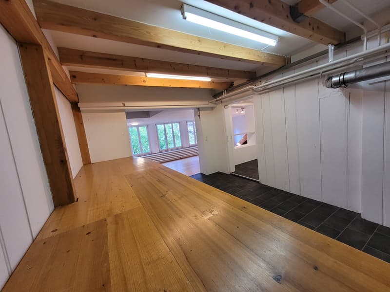Grosszügige 6-Zimmer-Büro oder Fabrikationsräume in zentraler Lage (20)