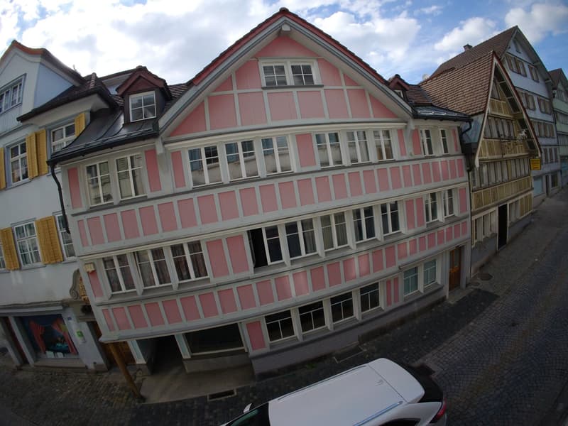 Grosszügige 6-Zimmer-Büro oder Fabrikationsräume in zentraler Lage (1)