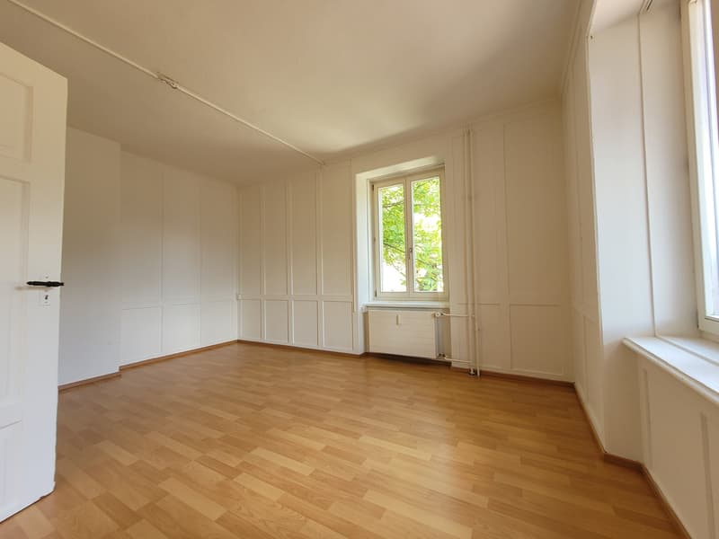 4.5-Zimmer-Wohnung mit Bergblick + separatem Eingang (3)