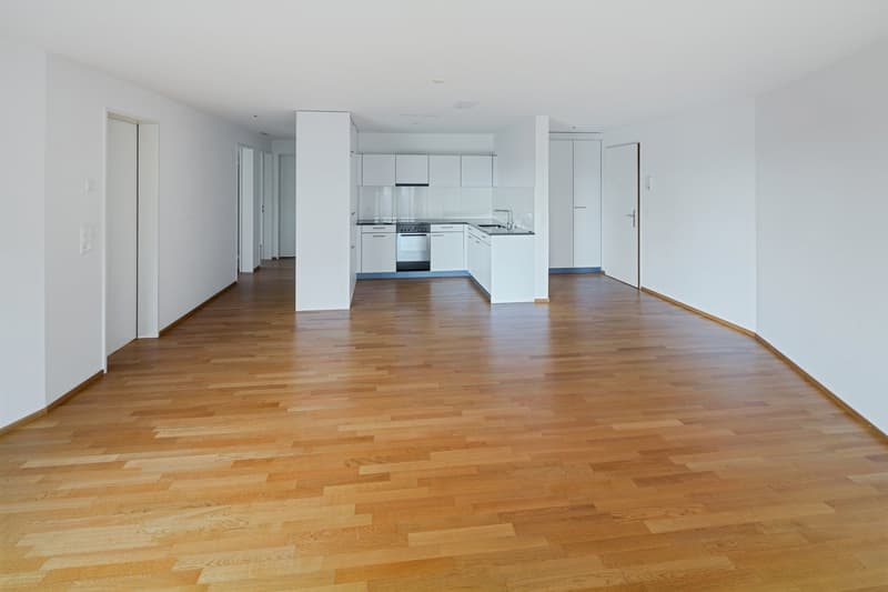Helle 4.5-Zimmer-Dachwohnung mit Balkon und schöner Aussicht in Wetzikon (2)