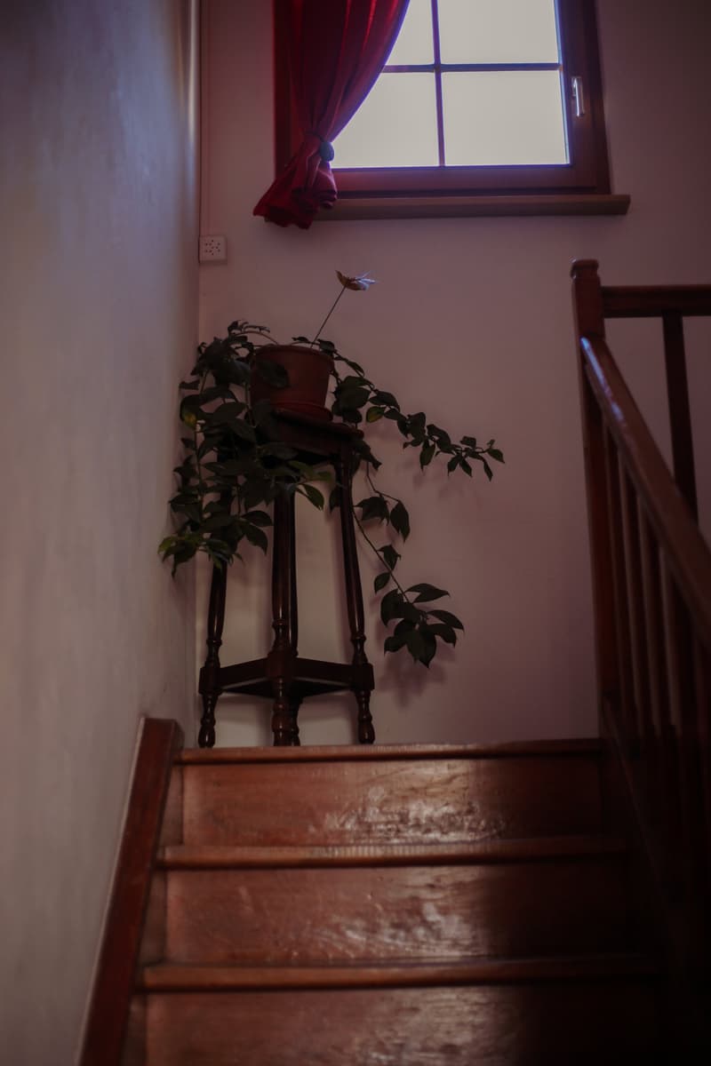 wooden staircase in front of wall, potted plant on table, red curtains at window