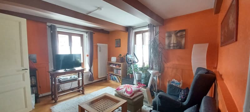 living room with TV, shelves, chair, exercise bike, potted plants, couch, coffee table, radiator