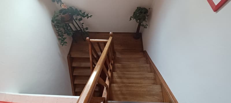 Internal staircase leading to the upper floors. The stairs have wooden steps and handrails. On both sides of the staircase there are plants.