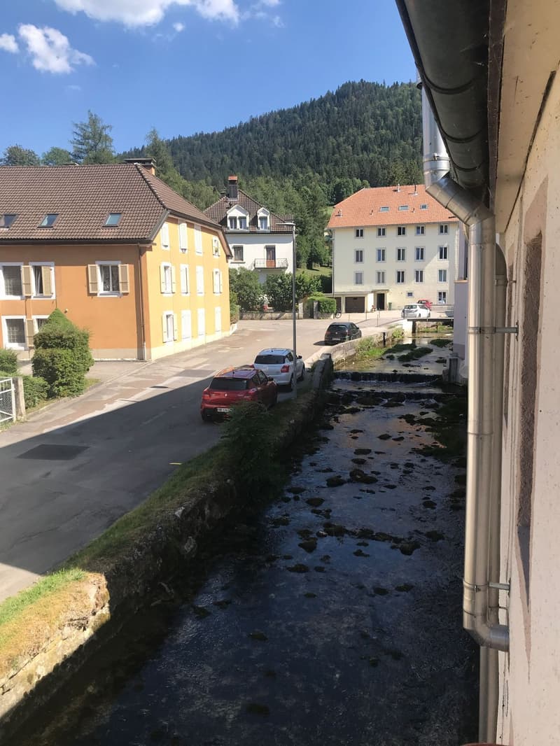 residential street with cars parked, small stream running through the middle, houses on both sides, mountainous background