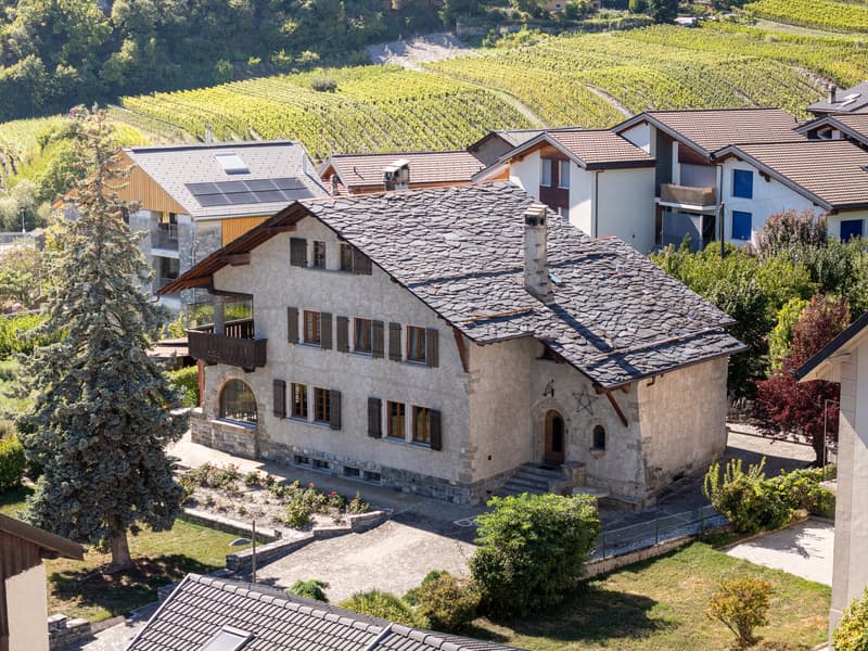 Maison de caractère avec 2 appartements et vaste parcelle à Chamoson (1)