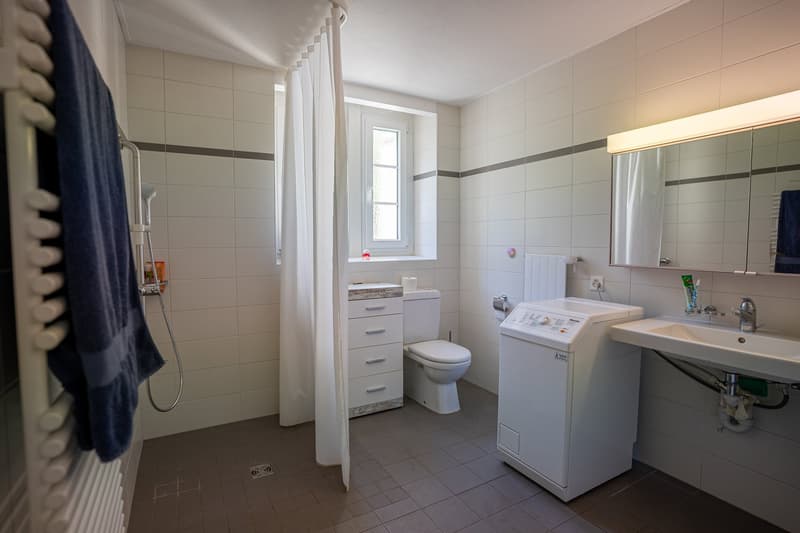 Maison de caractère avec 2 appartements et vaste parcelle à Chamoson (5)