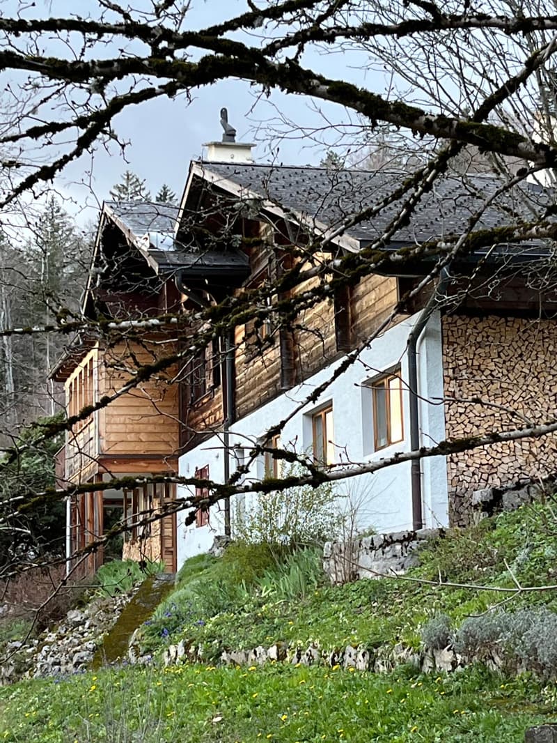 Mountainside house, wooden facade, large roof, balcony, chimney, surrounded by greenery