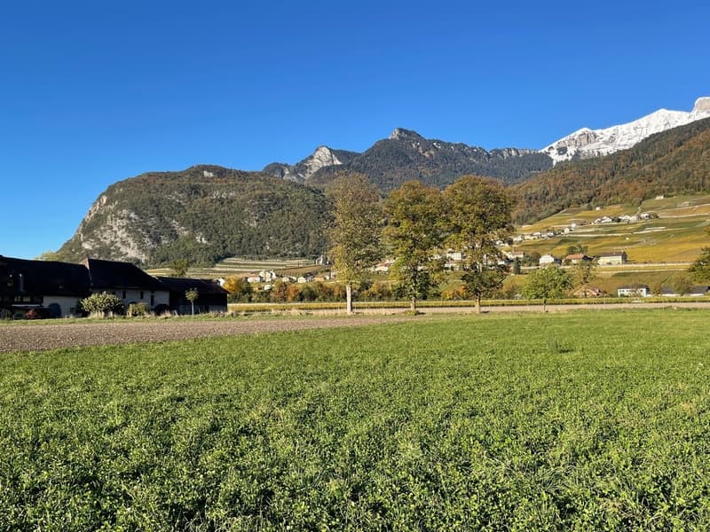 PERMIS DE CONSTRUIRE OBTENU - VILLA INDIVIDUELLE - VUE PANORAMIQUE (11)