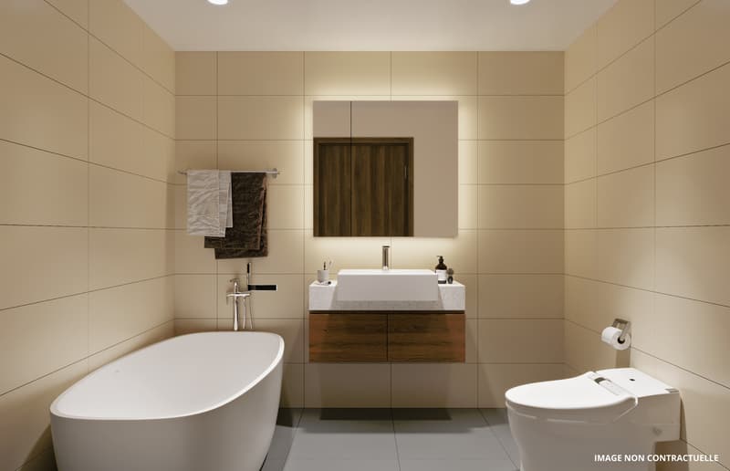 ATTIQUE DE 5,5 PCES AVEC HAUTEUR DE PLAFOND DE PLUS DE 4 M ET LOGGIA (5)