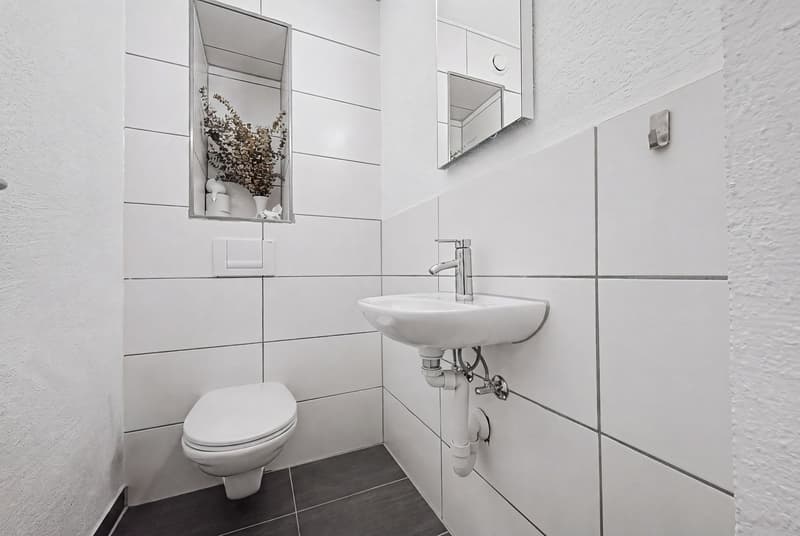 Modern wohnen - Zentral leben. Ihr Wohntraum in Birmensdorf. (8)