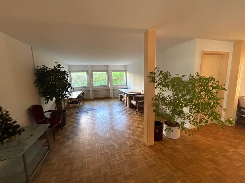 Gewerbeliegenschaft an bester Lage mit Zukunftspotential (4)