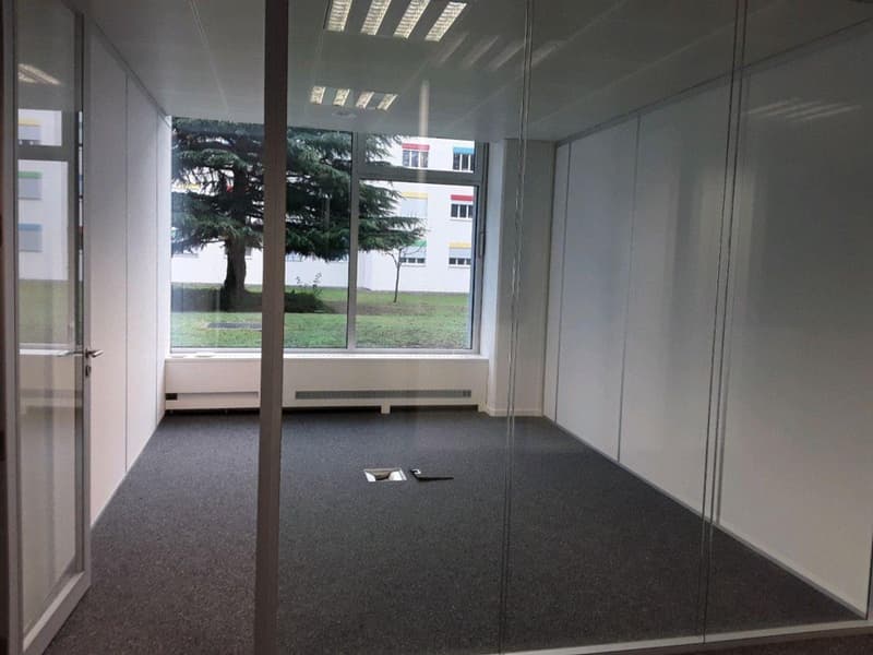 VERSOIX - Bureaux lumineux d'env. 262 m² ? Rez-de-chaussée (2)