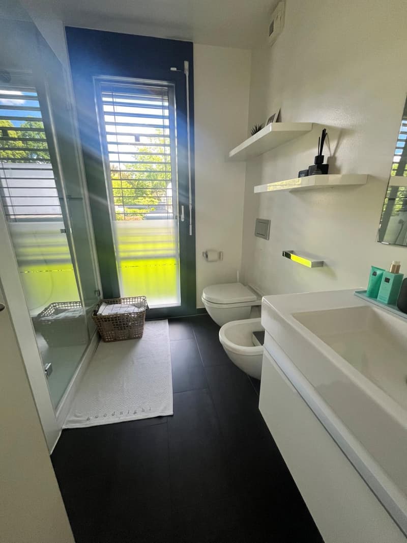 Moderne appartement à Versoix avec terrasse et jardin (7)
