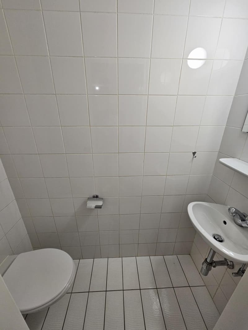 3 pièces aux Eaux-Vives (6)